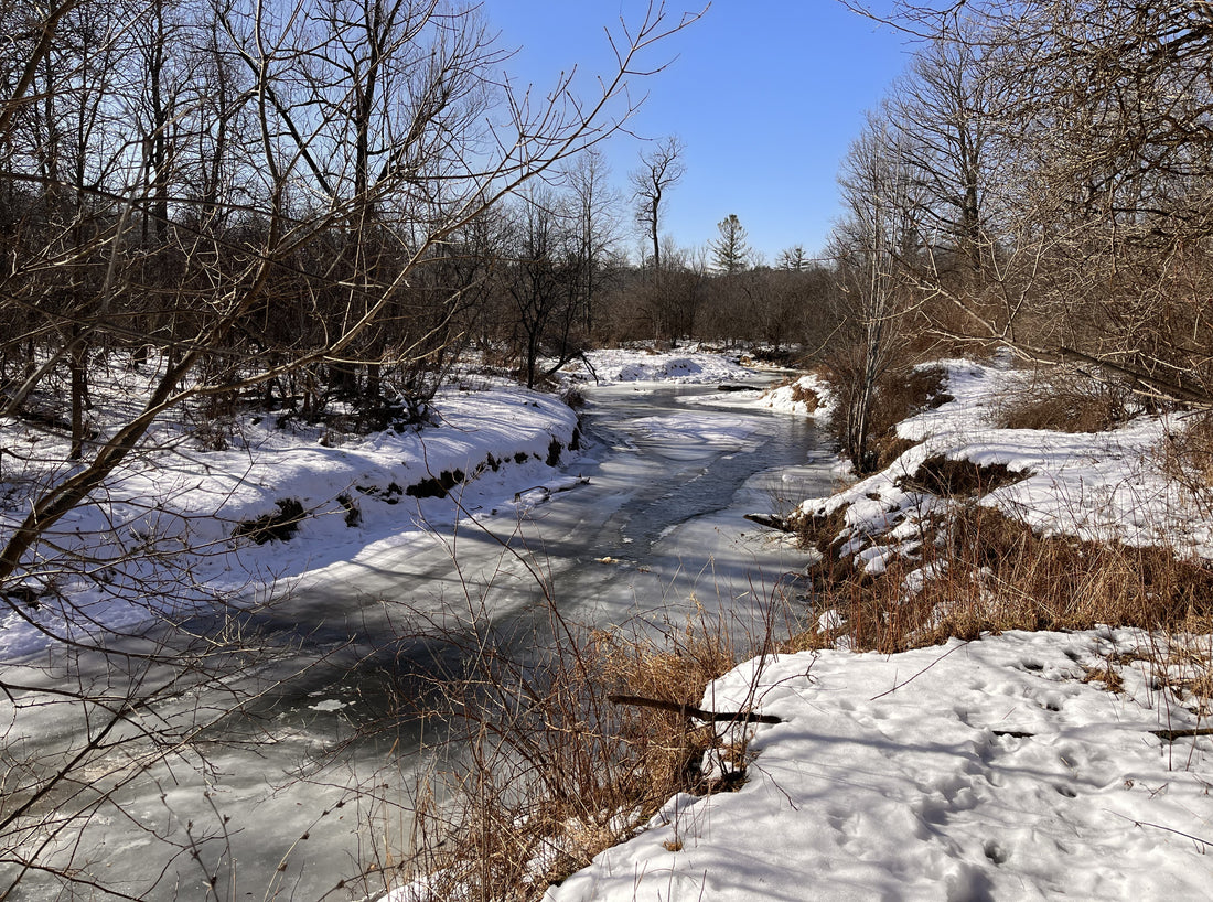 Get Out and Go! The Benefits of Winter Hiking