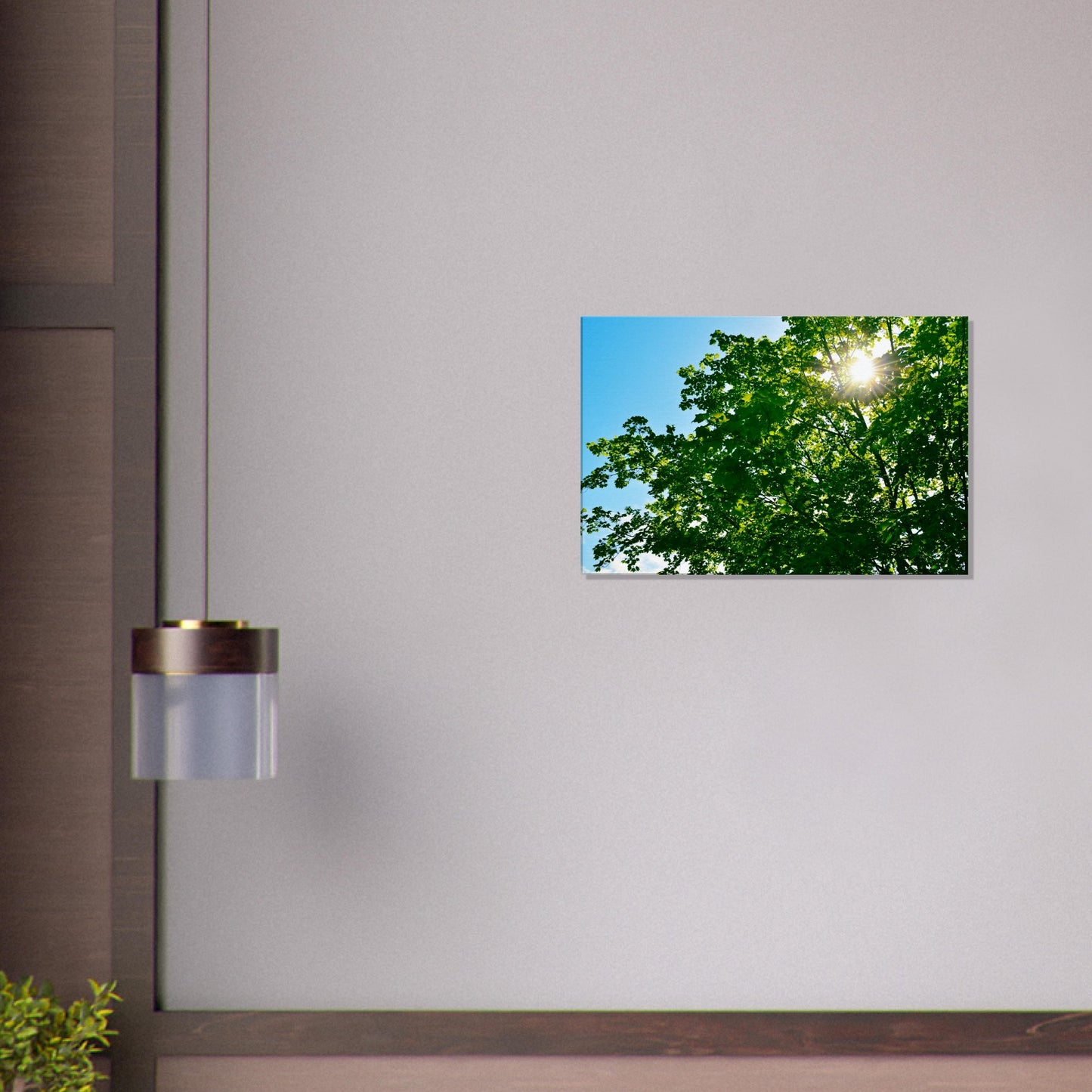 Sun-rays Through The Leaves - Canvas